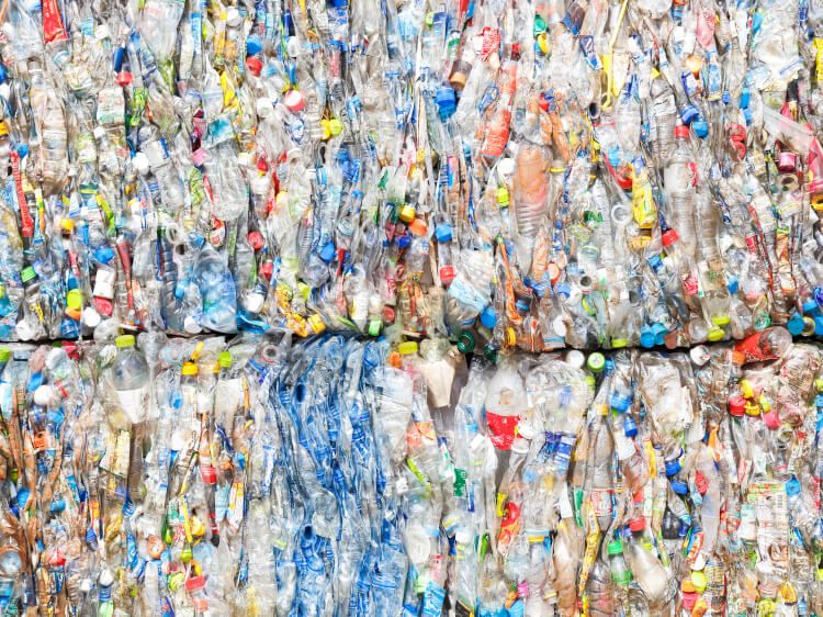 PET Bottles